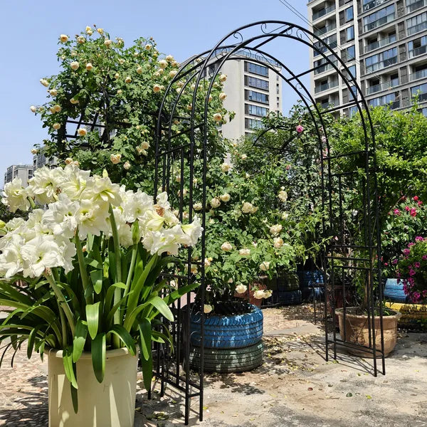 Metal Garden Arch L59'' X W17.71'' X H90.55'' Climbing Plants Support Rose Arch Outdoor Black