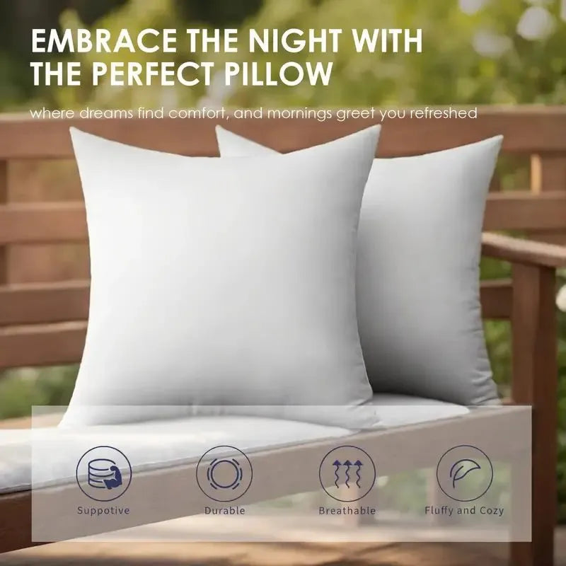 Throw Pillows, 2pack
