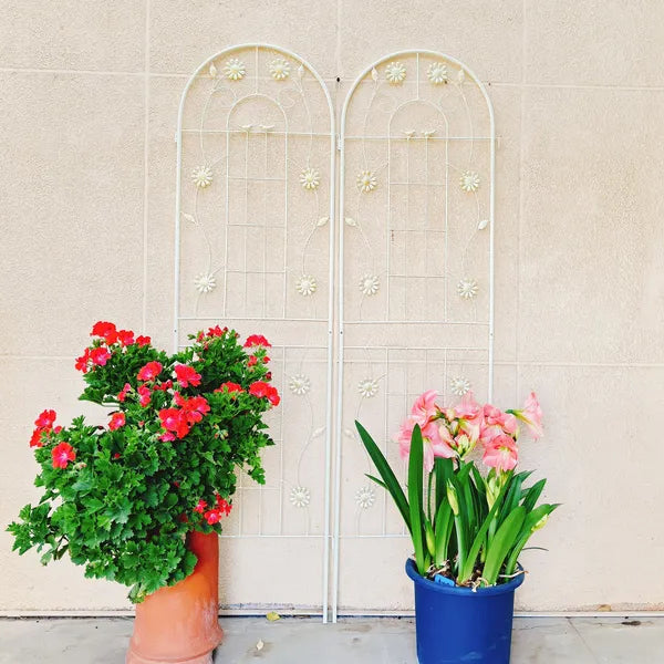 2 Pack Metal Garden Trellis 71" X 19.7" Rustproof Trellis For Climbing Plants Outdoor Flower Support