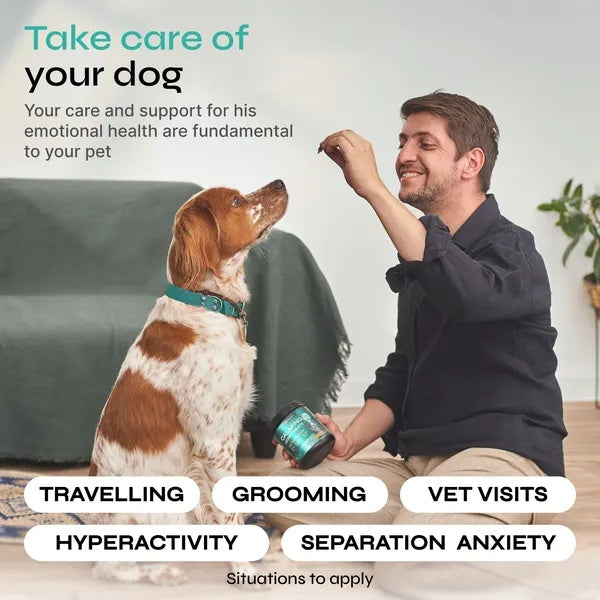Hemp Calming Chews For Dog Anxiety Relief Duck Favor Calming Treats For Dogs Stress Separation Anxiety Relief Storms Hemp Seed Oil Calming Chews For Dogs Calming Treats For Anxiety Relief