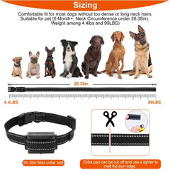 Dog Training Collar Receiver IP67 Waterproof