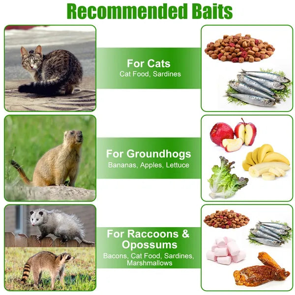 Humane Cat Trap Cage With Gloves Catch Release Live Animal Rodent Cage Collapsible Galvanized Wire For Raccoons Beavers Groundhogs Foxes Armadillos