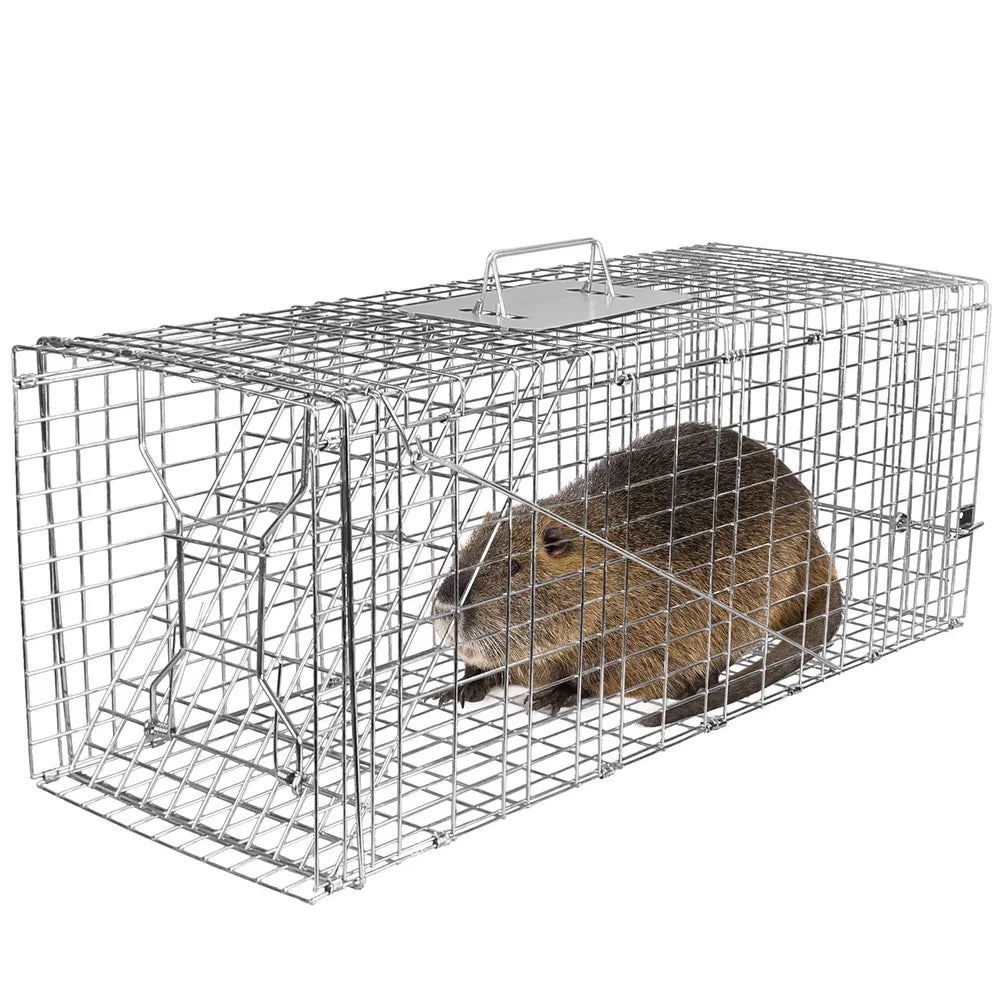 Humane Cat Trap Cage Catch Release Live Animal Rodent Cage Collapsible Galvanized Wire For Raccoons Beavers Groundhogs Foxes Armadillos
