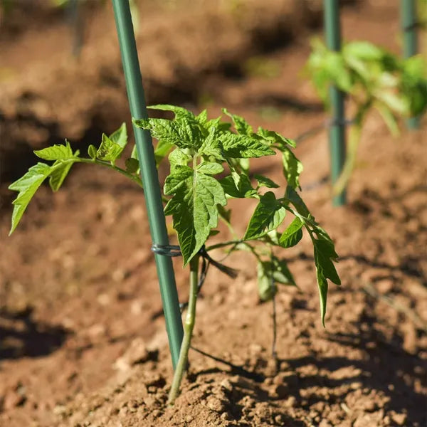 50PC 5/16inch 4ft Dark Green Solid Sticks For Plant Support Offer High Strength, Corrosion Resistance, And Durability, Suitable For Flowers, Vegetables, And Fruit Trees.