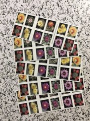 First-Class Rate U.S. FLAG STAMPS Cactus Flowers 1 0 0pcs FREE SHIPPING