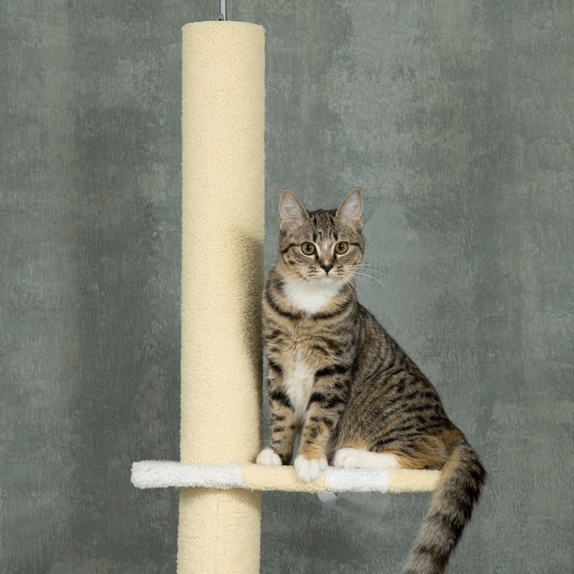 4-Tier Floor to Ceiling Cat Tree Height Adjustable 87 -103 Inch