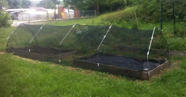 10ft*10ft Black Shade Net Fabric Provides Efficient Shading, Premium Materials, And An Enhanced Plant Growth Environment.