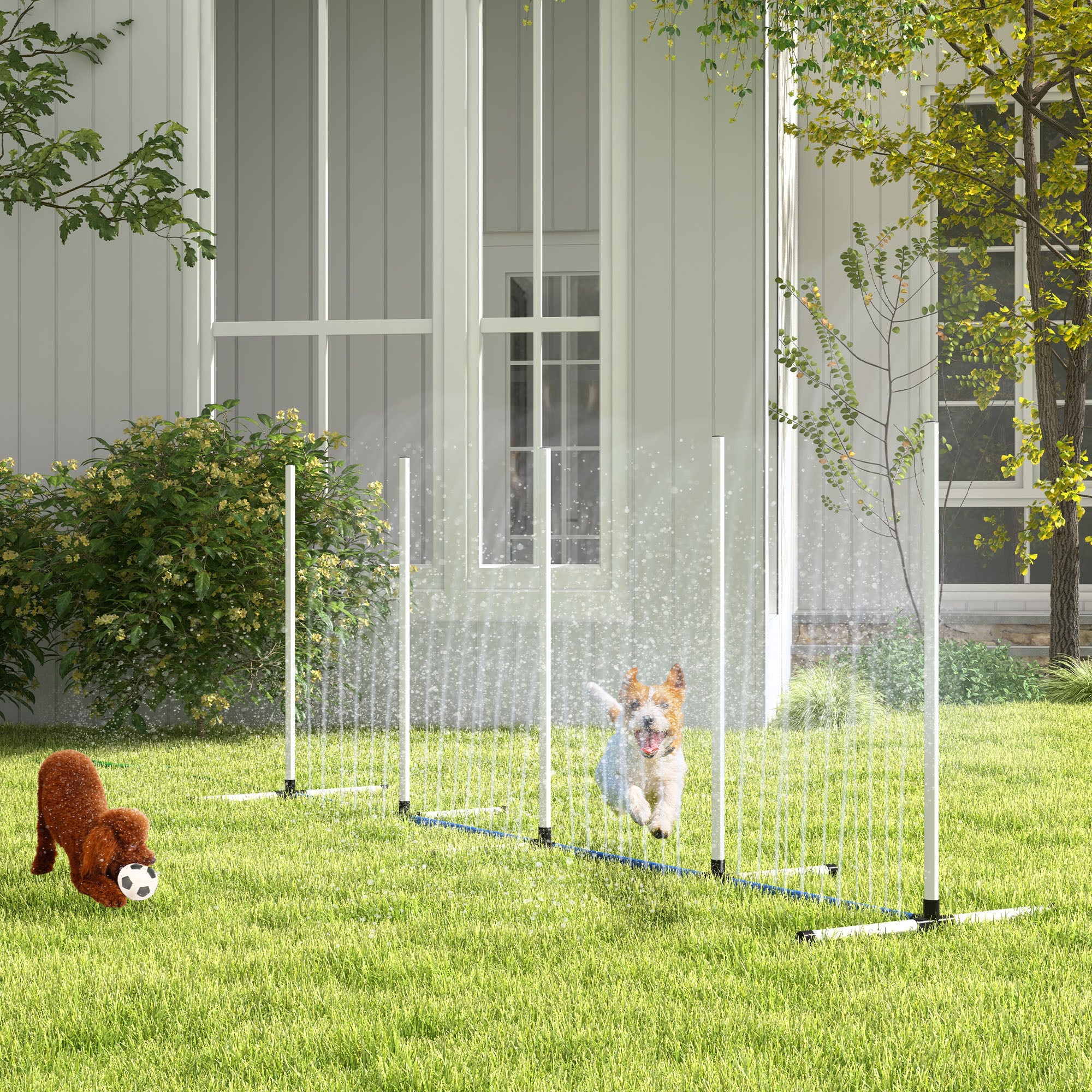 2pc Dog Agility Training Equipment Set with Spray Water Tube, White