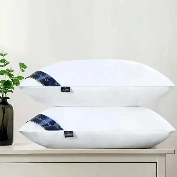 Bed Pillows Blue 2pack