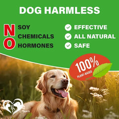 Dog Hip And Joint Supplement Arthritis Pain Relief Treats Glucosamine Chondroitin MSM Soft Chews