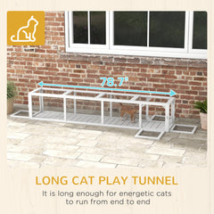 Wooden Cat Run with Weather Protection, Connecting Inside and Outside, 79"L x 15"W x 15"H, White