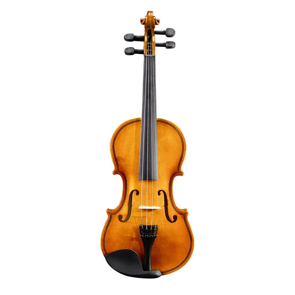 New 3/4 Acoustic Violin With Hard Case,Violin Bow,Shoulder Rest,Rosin,Extra Strings And Sourdine