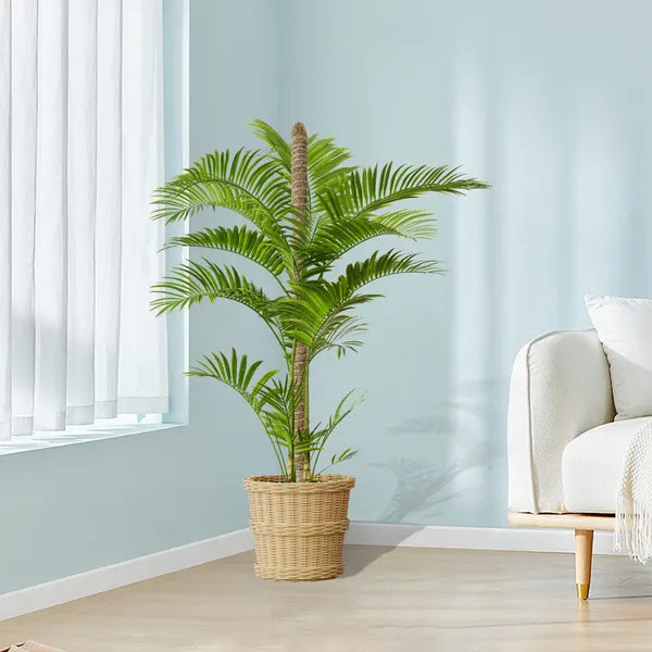 25.2inch 2PC Double-layered, Flexible Coconut Coir Stick With Hemp Rope Ideal For Plant Support, Natural And Eco-friendly, Creating A Vibrant Green Space.