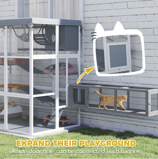 Cat Enclosure With Hammock
