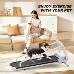 New Quiet Smart Pet Treadmill, Adjustable Speed, Perfect For Small Medium Dogs