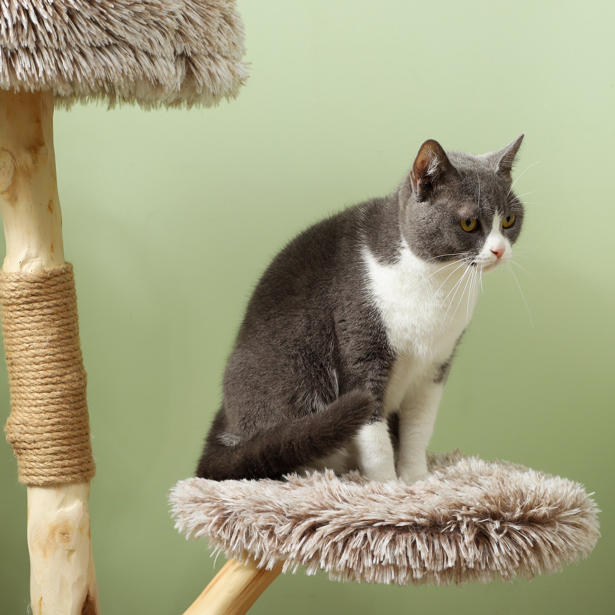 35 Inch Modern Cat Tree for Indoor Adult Cats with Wooden Scratching Posts, Cat Bed & Rope Cat Toy, Brown