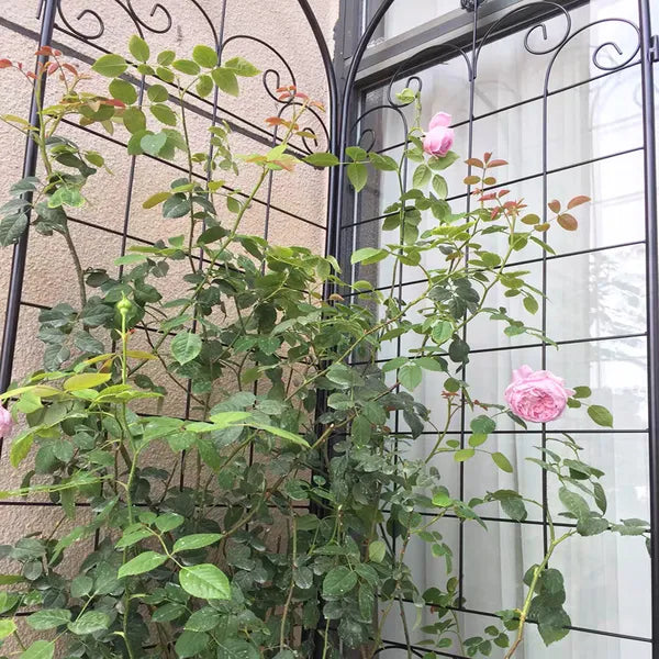 4 Pack Metal Garden Trellis For Climbing Plants Outdoor 86.7'' X 19.7'' Rustproof Plant Support Rose Trellis Netting Trellis Black