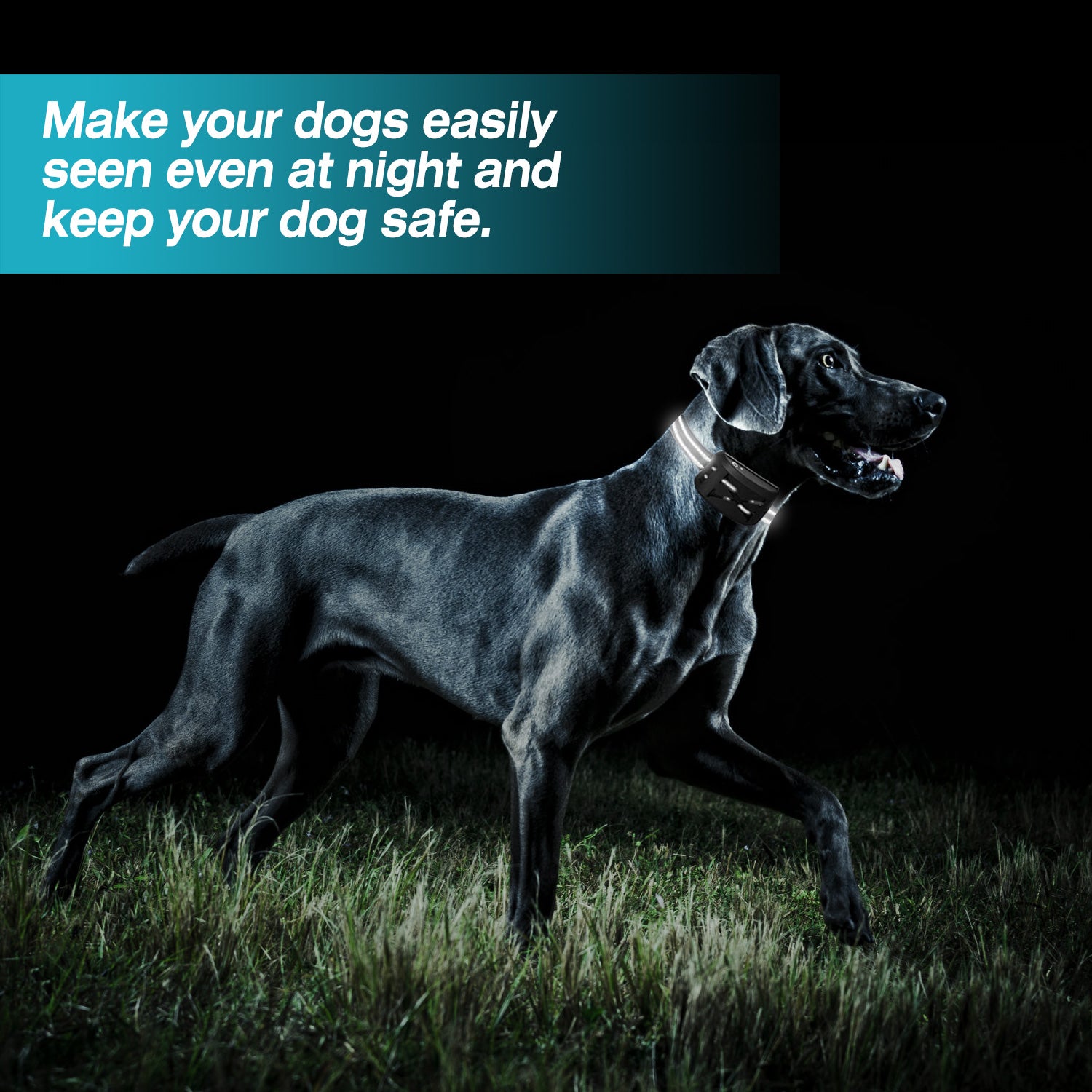 2 In 1 Wireless Electric Dog Fence Waterproof Pet Shock Boundary Containment System Electric Training Collar With 2 Receiver Collars For Small Medium Large Dogs