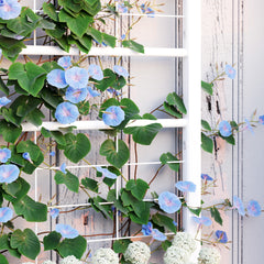 Outdoor Planter Box Galvanized Raised Garden Bed With Trellis For Climbing Vines