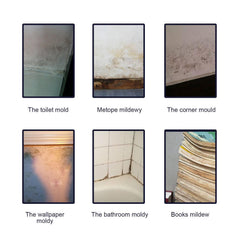 Bathroom Tile Wall And Ceiling Multi-effect Decontamination And Mildew Removal Spray