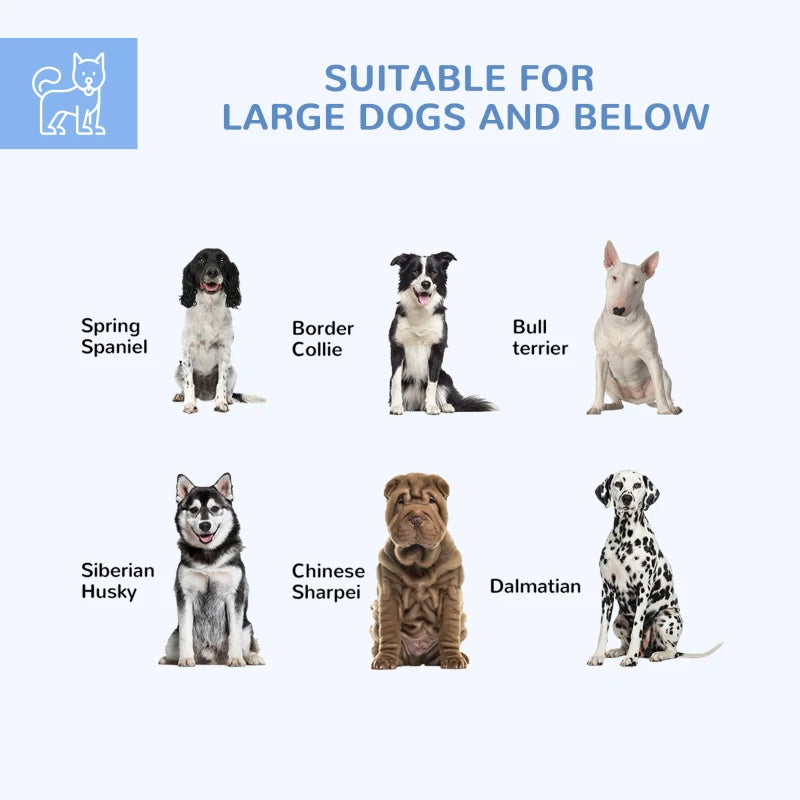 Dog Kennel Outdoor For Medium And Large-Sized Dogs With Lockable Door, Silver