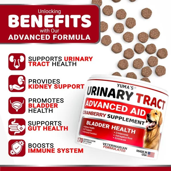 Dog UTI Treatment 170 Treats Cranberry Supplement For Dogs Bladder Control For Dogs