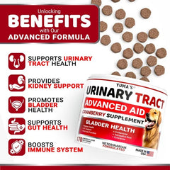 Dog UTI Treatment 170 Treats Cranberry Supplement For Dogs Bladder Control For Dogs