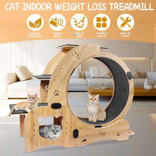 Cat Wheel 6-in-1 Cat Fitness Wheel