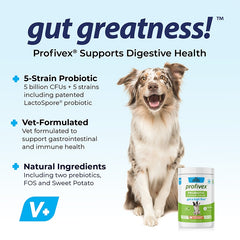 Probiotics Chews For Pets Customized Shape For Digestive Health Pets Supplement Healthy Gut For Dogs