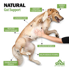 Probiotics Chews For Pets Customized Shape For Digestive Health Pets Supplement Healthy Gut For Dogs