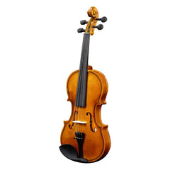 New 3/4 Acoustic Violin With Hard Case,Violin Bow,Shoulder Rest,Rosin,Extra Strings And Sourdine