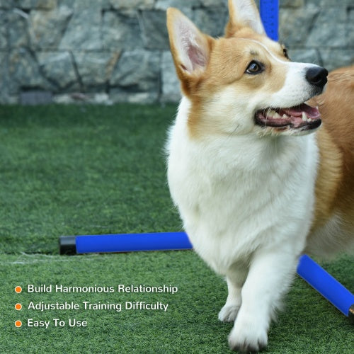 4-piece Dog Agility Training Equipment With Height-adjustable Jumping Poles
