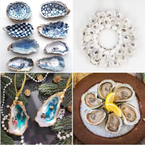 30pcs Oyster Shells With Pearl Bulk Natural Oyster Shells For Crafts DIY Arts Xmas Ornaments