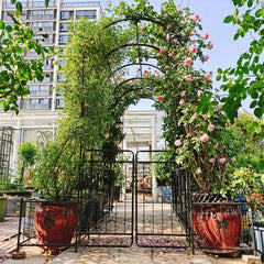 Metal Garden Arch With Gate 79.5'' Wide X 86.6'' High Climbing Plants Support Rose Arch Outdoor