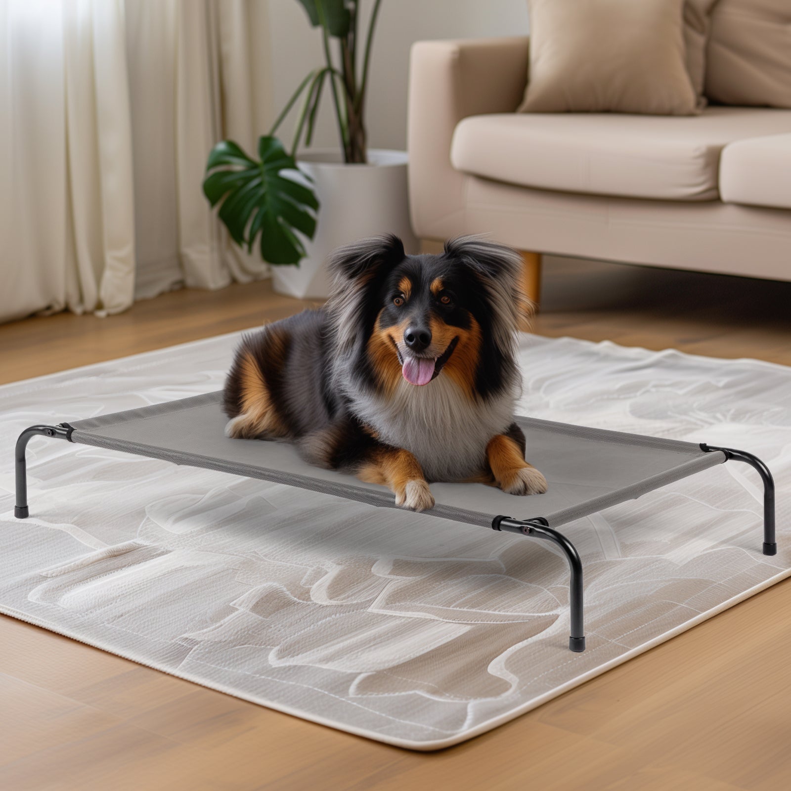 Pet Beds