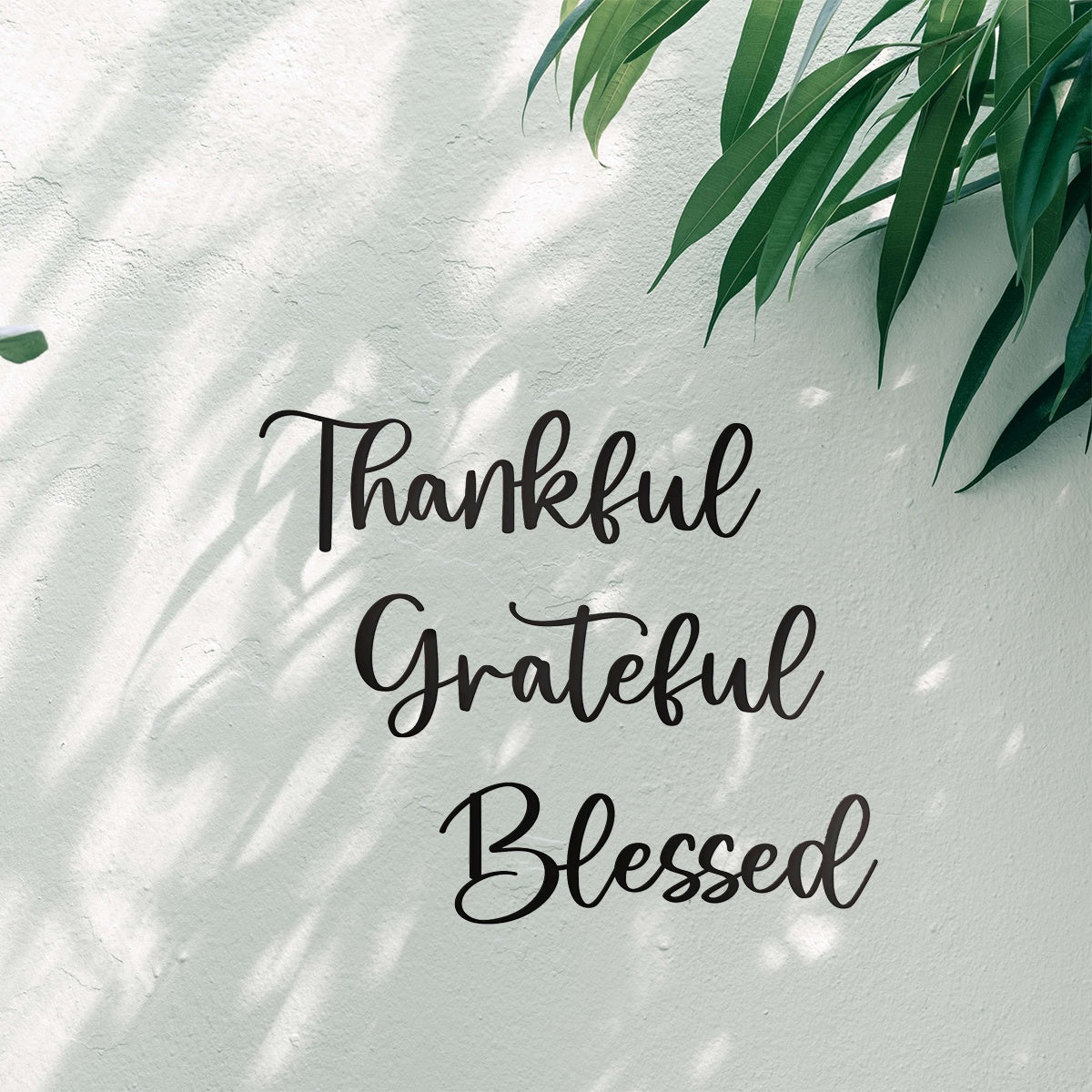 3-Piece Give Thanks' Scripture Wall Art Set