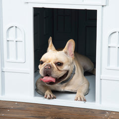 Plastic Dog House for Medium and Small Dogs, Water Resistant Puppy Shelter Indoor Outdoor with Door, Easy to Assemble, Blue