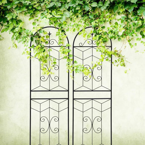 2 Pack Metal Garden Trellis 71" X 19.7" Rustproof Trellis For Climbing Plants Outdoor Flower Support Black