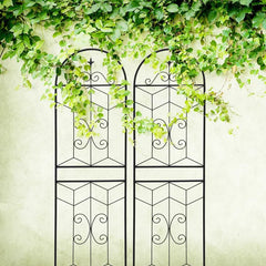 2 Pack Metal Garden Trellis 71" X 19.7" Rustproof Trellis For Climbing Plants Outdoor Flower Support Black