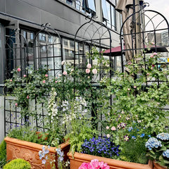 4 Pack Metal Garden Trellis 71" X 19.7" Rustproof Trellis For Climbing Plants Outdoor Flower Support