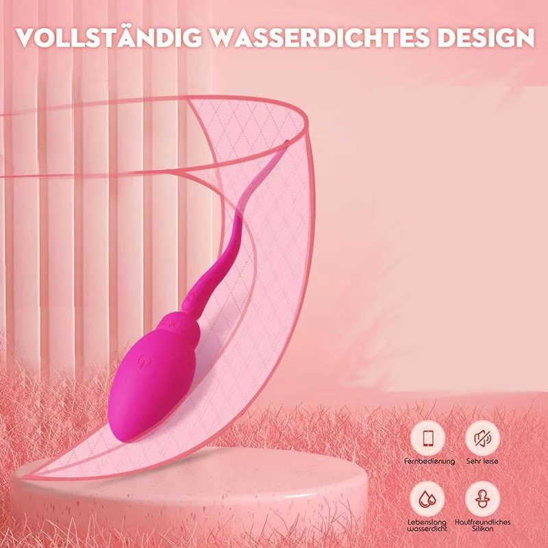 Egg Wearable Love Balls Bullet & Egg 9 Modes, USB Rechargeable, G-Spot Clitoral Stimulator For Women Couples