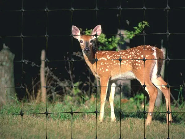 7.5ft*65ft Plastic Deer Netting Offers High-strength Protection Against Deer Intrusion, Suitable For Yards, Farmlands, And Gardens.