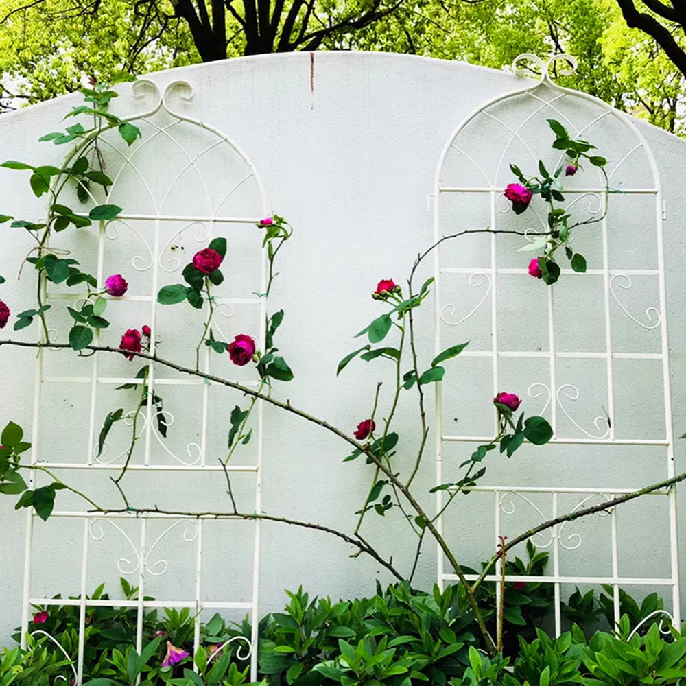 2 Pack Metal Garden Trellis 71" X 19.7" Rustproof Trellis For Climbing Plants Outdoor Flower Support