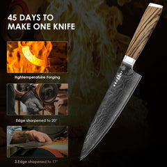 Kegani Chef Knife - 8 Inch Japanese Knife, 67 Layers Japanese VG-10 Damascus Steel Ultra Sharp Kitchen Knife, Professional Chef Knife Gyuto Knife- Ergonomic FullTang Handle