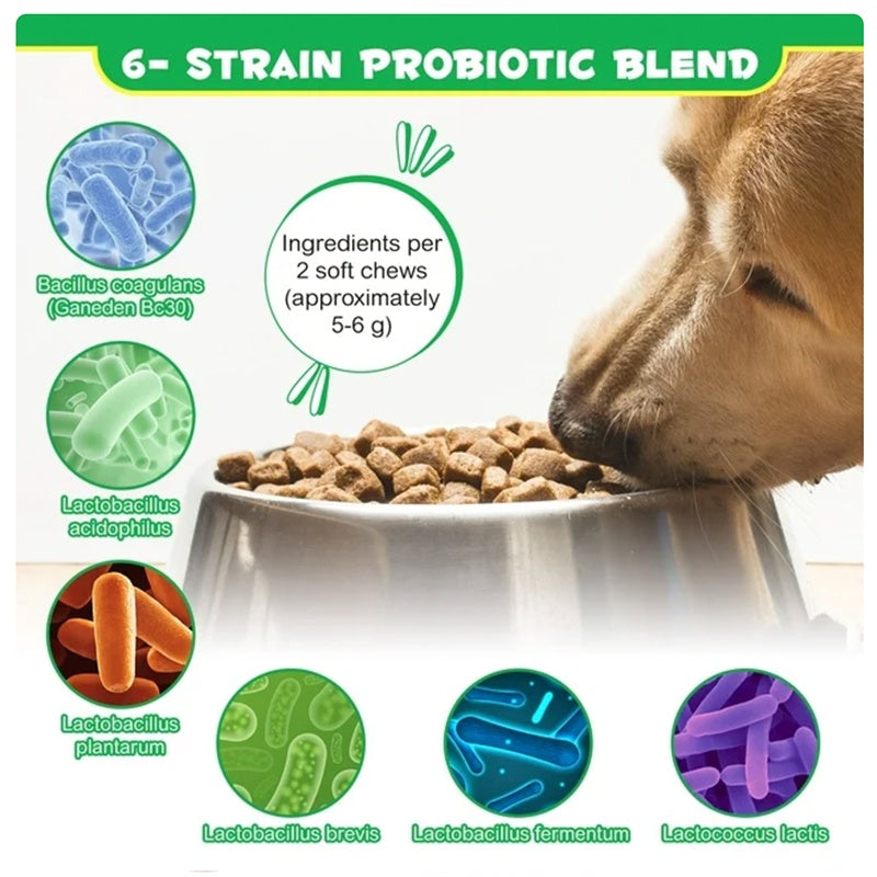 Probiotics Chews For Pets Customized Shape For Digestive Health Pets Supplement Healthy Gut For Dogs