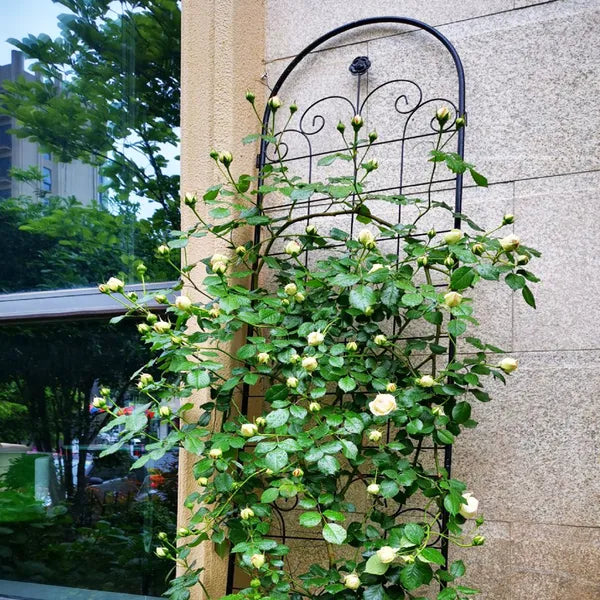 4 Pack Metal Garden Trellis For Climbing Plants Outdoor 86.7'' X 19.7'' Rustproof Plant Support Rose Trellis Netting Trellis Black
