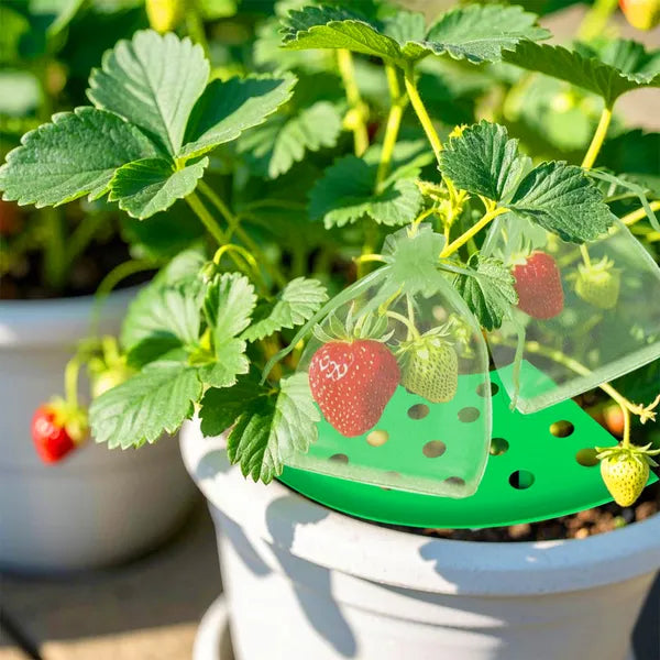8Set Home Strawberry Planting Kit With 2 Sturdy Legs Inchlde 16 Strawberry Plant Supports 40 Insect-proof Mesh Bag Reusable Strawberry Growing Racks Frame Protecting Strawberry Plants