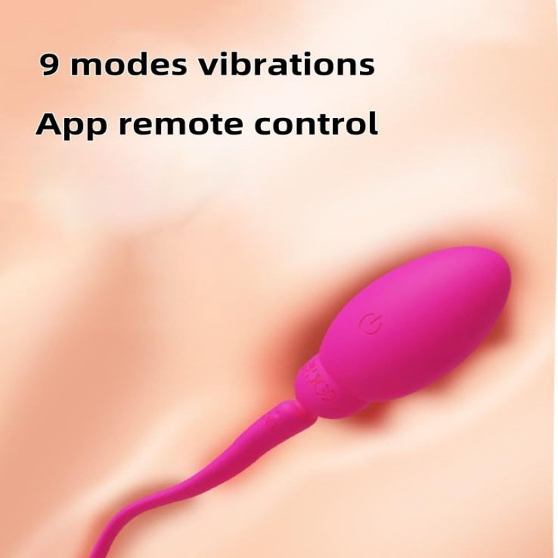 Egg Wearable Love Balls Bullet & Egg 9 Modes, USB Rechargeable, G-Spot Clitoral Stimulator For Women Couples