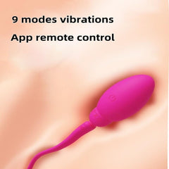 Egg Wearable Love Balls Bullet & Egg 9 Modes, USB Rechargeable, G-Spot Clitoral Stimulator For Women Couples