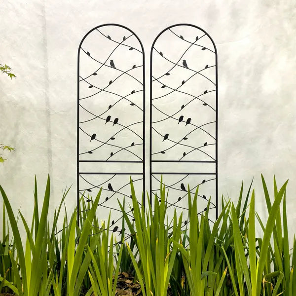 2 Pack Metal Garden Trellis 86.7" X 19.7" Rustproof Trellis For Climbing Plants Outdoor Flower Support Bird Deco Black